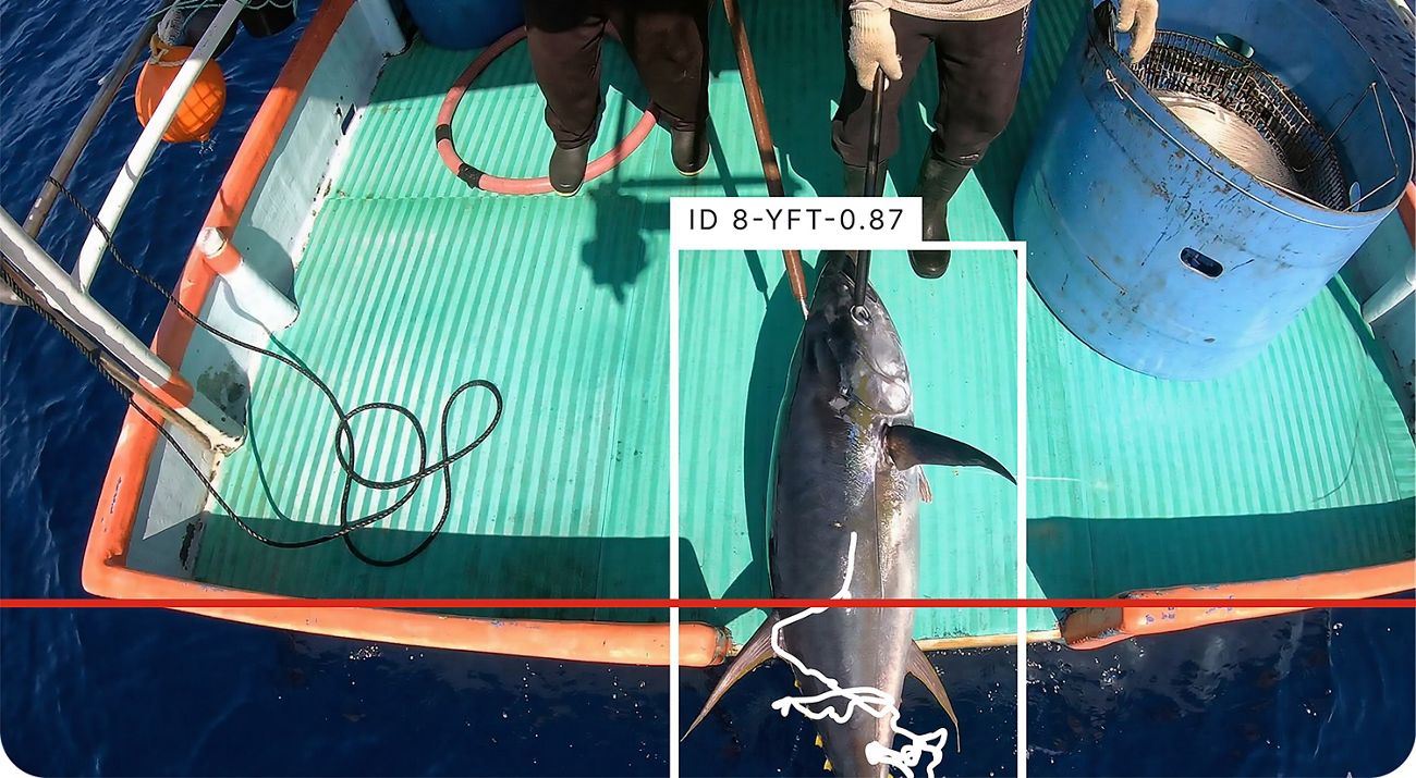 AI & Fisheries in Oman: Transforming a National Growth Sector